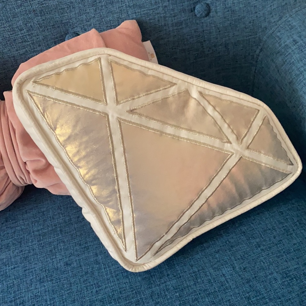 2 Pottery Barn Teen Pillows